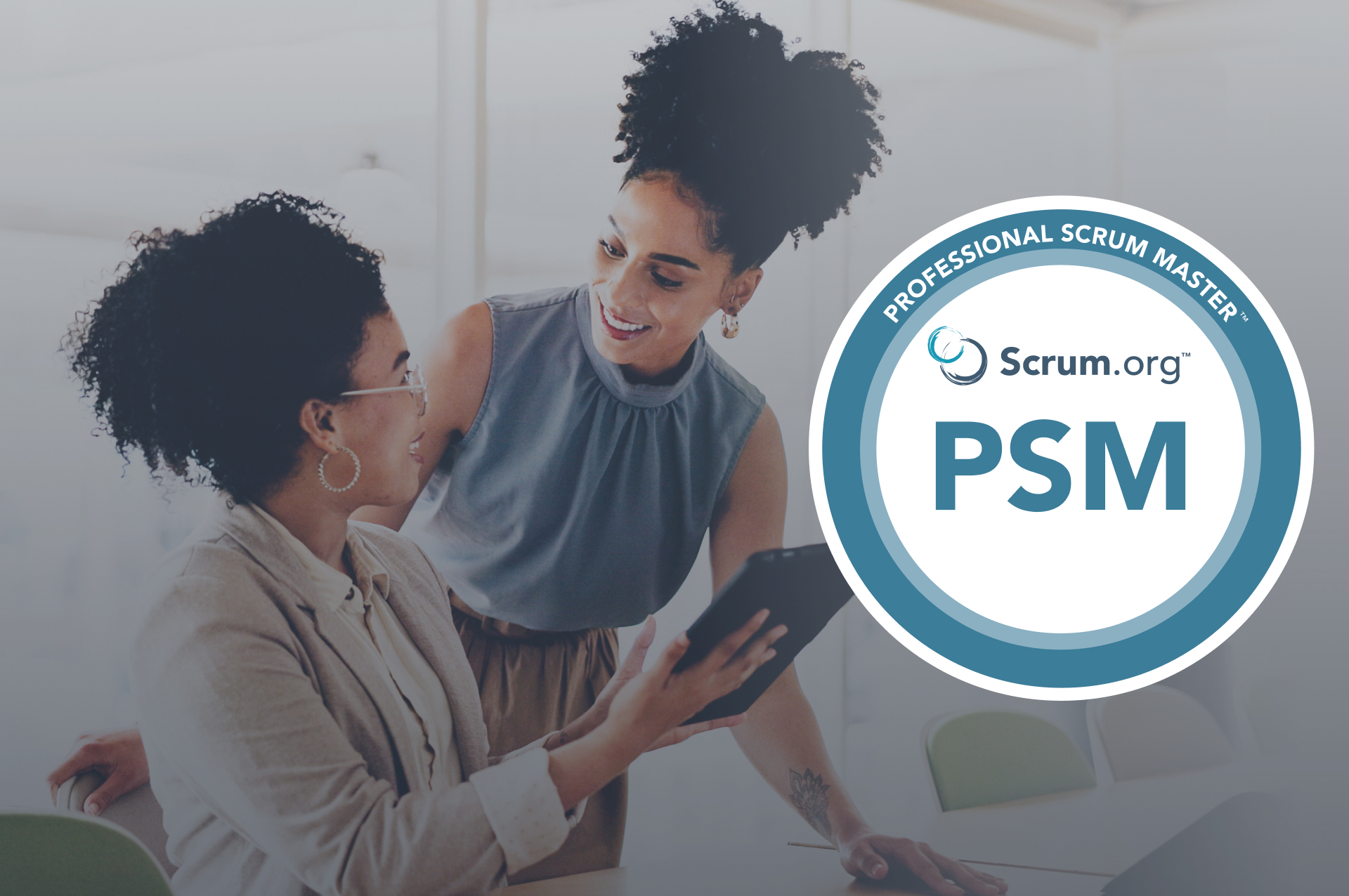 PSM - Professional Scrum Master™