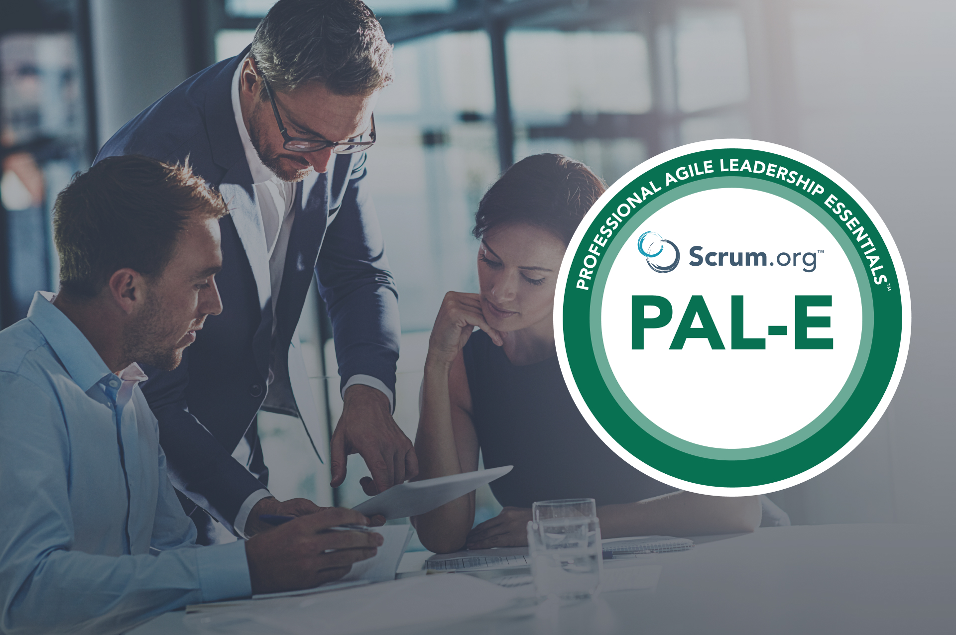 PAL-E - Professional Agile Leadership Essentials™